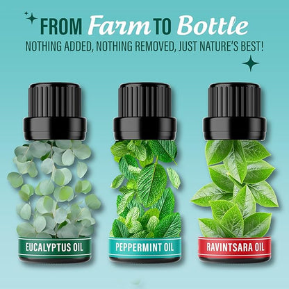 GuruNanda Breathe Essential Oil Set (Pack of 3 x 0.34 Fl Oz) - 100% Pure, Natural & Undiluted Diffuser Oils for Aromatherapy - Helps Support Clear Breathing - Suitable for Massages & DIY Recipes