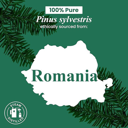 Handcraft Blends Pine Essential Oil – 1 Fl Oz – 100% Pure and Natural – Premium Grade Essential Oil for Diffuser and Aromatherapy, Skin, Massage, Candle and Soap Making Fragrance