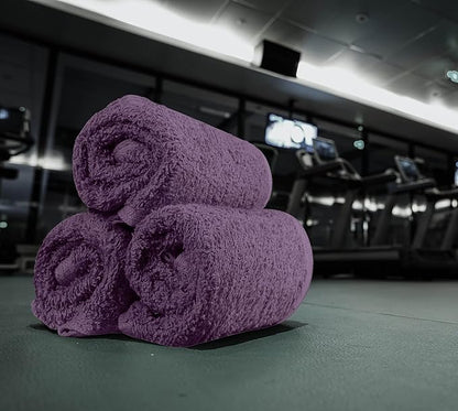 Utopia Towels 24 Pack Cotton Washcloths Set, 100% Ring Spun Cotton, Premium Quality Flannel Face Cloths, Highly Absorbent and Soft Feel Fingertip Towels, Plum