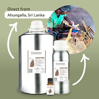 Cinnamon Essential Oil - Direct from Sri Lankan Essential Oils - 100% Pure - Natural Aceite de Canela for Aromatherapy & Wellness - Premium Grade (15ml)