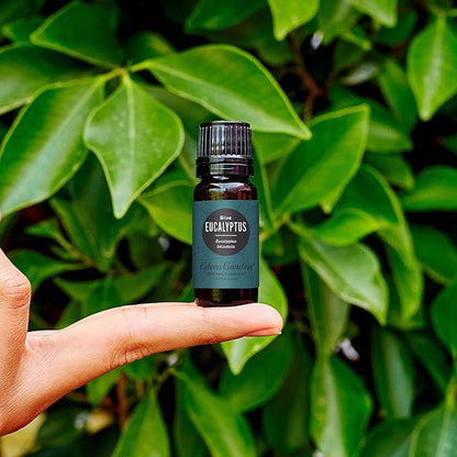 Edens Garden Eucalyptus- Blue Essential Oil- 100% Pure Premium Grade, Undiluted, Natural, Therapeutic, Aromatherapy, The Best for Diffuser, Skin, Candle, Humidifiers 30 ml (1 fl oz)