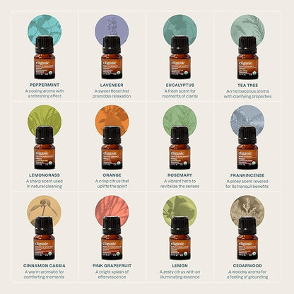 Cliganic Organic Essential Oils Set (Top 12, Pack of 2) - 100% Pure - Peppermint, Lavender, Eucalyptus, Tea Tree, Lemongrass, Rosemary, Frankincense, Orange, Lemon, Cassia, Cedarwood & Grapefruit