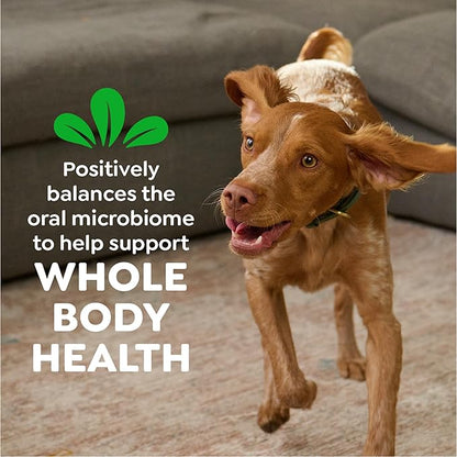Greenies Veterinarian-Recommended Natural Dental Dog Treats Teenie Size, Original Flavor, 6 oz. Pack, 22 Count
