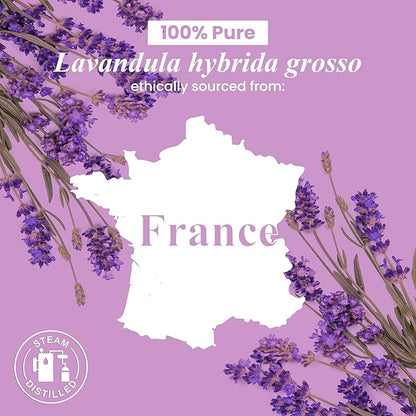 Handcraft Blends Lavender Essential Oil – Huge 4 Fl Oz – 100% Pure and Natural – Premium Grade Essential Oil for Diffuser and Aromatherapy, Skin, Massage, Candle and Soap Making Fragrance