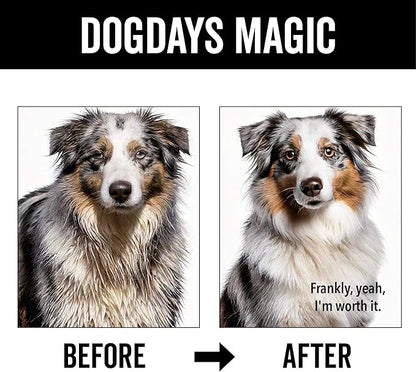 Pride and Groom DogDays Deshedding Dog Shampoo | Fast-Acting Coat Softener & Shedding Control | All-Natural Dog Wash with Essential Oils | Reduces Excess Fur & Dander for Curly & Wavy Coats – 16 oz