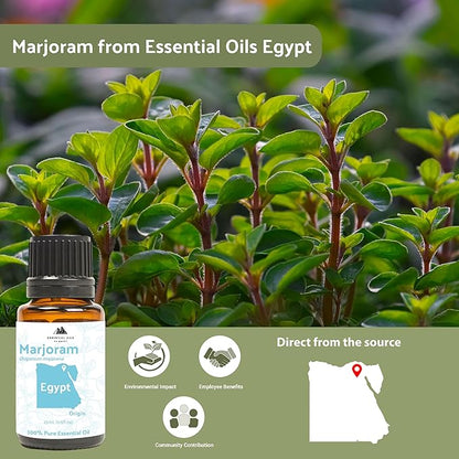 Marjoram Essential Oil - Aceite de Mejorana Direct from Egypt for Massage & Aromatherapy | Premium Therapeutic Grade (22lbs)