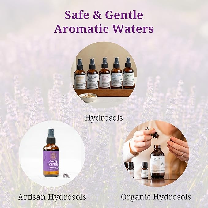 Aromatics International Witch Hazel Hydrosol 100ml | Multi-Purpose Aromatic Mist for Home