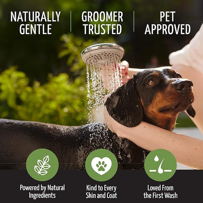 Tauro Pro Line Deep Cleansing Natural Dog Shampoo for Smelly Dogs, Wash for Dandruff and Dry Itchy Sensitive Skin, Cat & Puppy Shampoo (Herbal Detox -13.5 Fl Oz)