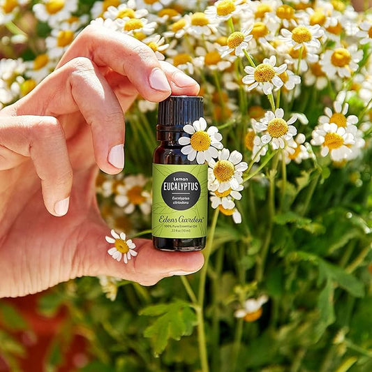 Edens Garden Eucalyptus- Lemon Essential Oil- 100% Pure Premium Grade, Undiluted, Natural, Therapeutic, Aromatherapy, The Best for Diffuser, Candle, Laundry, Humidifiers 10 ml (.33 fl oz)