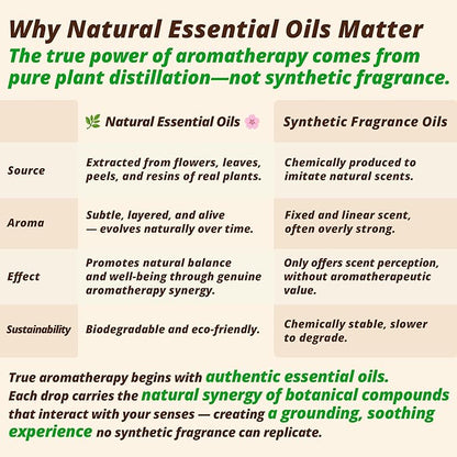 Frankincense & Lavender Aromatherapy Body & Massage Oil – Lightweight Hydration with a Warm Resinous-Floral Essential Oil Aroma for a Balanced Daily Use Experience, 1 fl oz / 30 ml