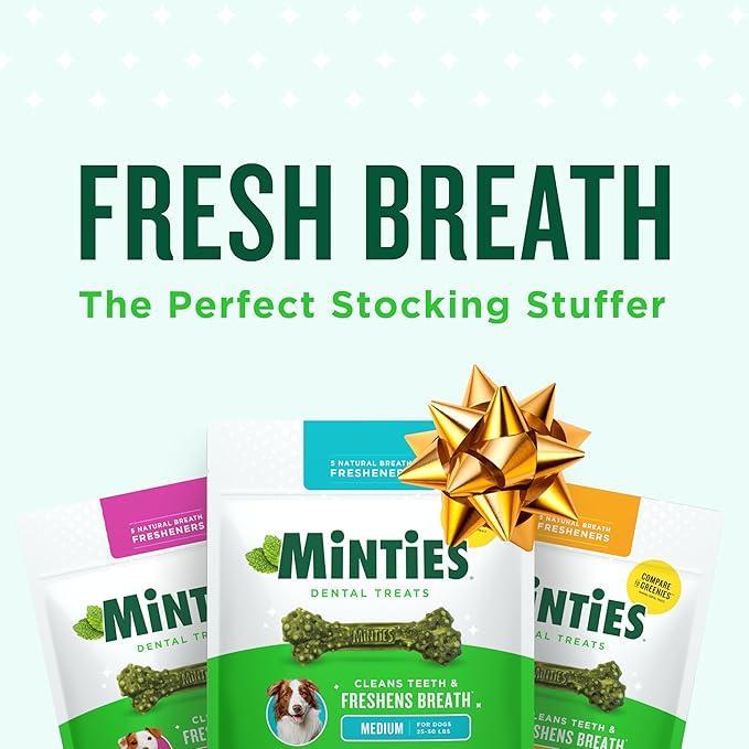 Minties Dog Dental Bone Treats, Tiny/Small Dental Dog Treats, 16 Ounces, Cleans Teeth, Fight Bad Breath, Removes Plaque and Tartar, 16 Count