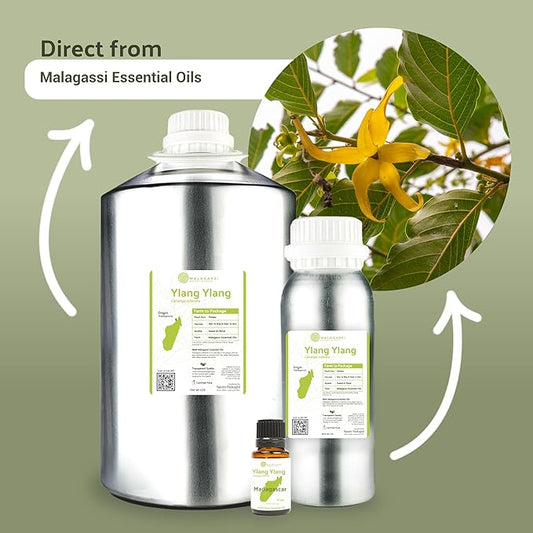 Ylang Ylang Essential Oil - Direct from Malagassi Essential Oils Madagascar - Steam Distilled - Aceite de Ylang Ylang for Aromatherapy, Diffuser, DIY Candle and Soap Making - 8oz