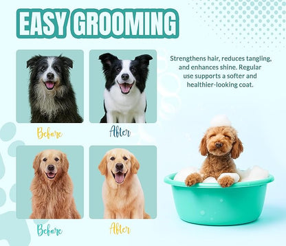 ALFIE'S CHOICE Calm & Comfort Dog Shampoo & Conditioner Set | 16 fl oz Each | with Lavender, Rosemary & Vitamin E | Calming Dog Wash for Itchy Skin, Dry Coat, Odor & All Breeds