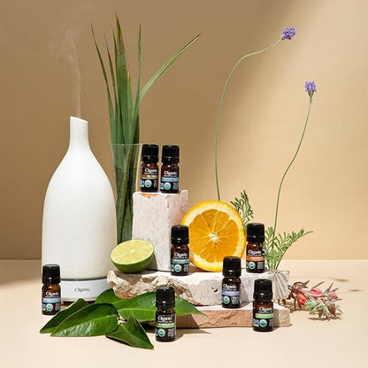 Cliganic Power Up Essential Oil Blend - Natural Aromatherapy Oil for Diffuser Steam Distilled | Non-GMO Verified