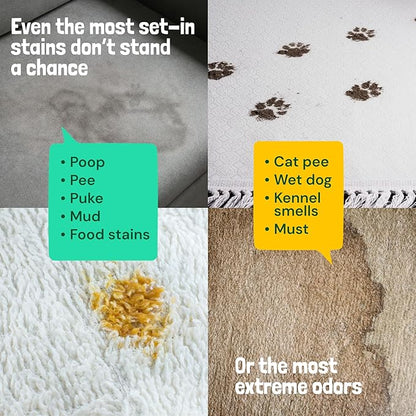 Sunny & Honey Carpet Cleaner Spray - 32 Fl Oz, Spring Mint - 40% More Enzymes & Carpet Stain Remover - Pet Urine Enzyme Cleaner & Floor Deodorizer - Pet & Kid Safe Rug Cleaner