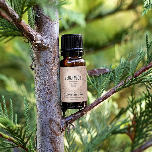 Edens Garden Cedarwood Around The World Essential Oil- 100% Pure Premium Grade, Undiluted, Natural, Therapeutic, Aromatherapy, The Best for Diffuser, Skin, Face, Hair 118 ml (4 fl oz)